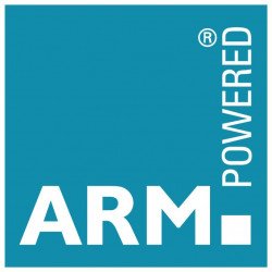 Digital Audio Lip sync Delay is powered by an ARM processor