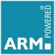 Digital Audio Lip sync Delay is powered by an ARM processor